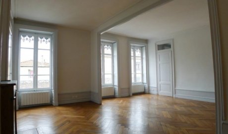 RENOVATION MURS - PLAFOND ET BOISERIES SALON DANS UN APPARTEMENT SITUE A LYON - PHOTO 1