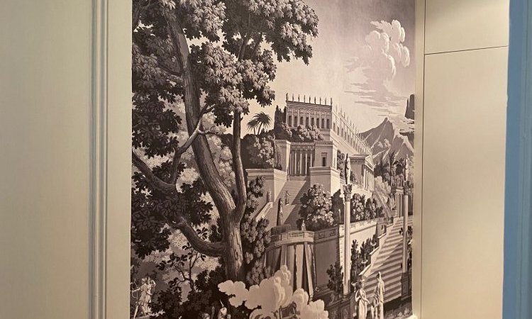Face de mur hall d'entrée appartement sur Lyon suite à pose papier peint panoramique