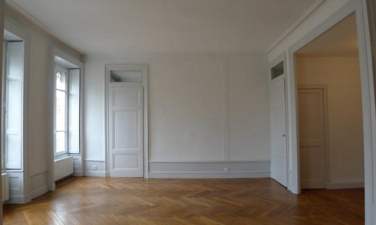 RENOVATION MURS - PLAFOND ET BOISERIES SALON DANS UN APPARTEMENT SITUE A LYON - PHOTO 2