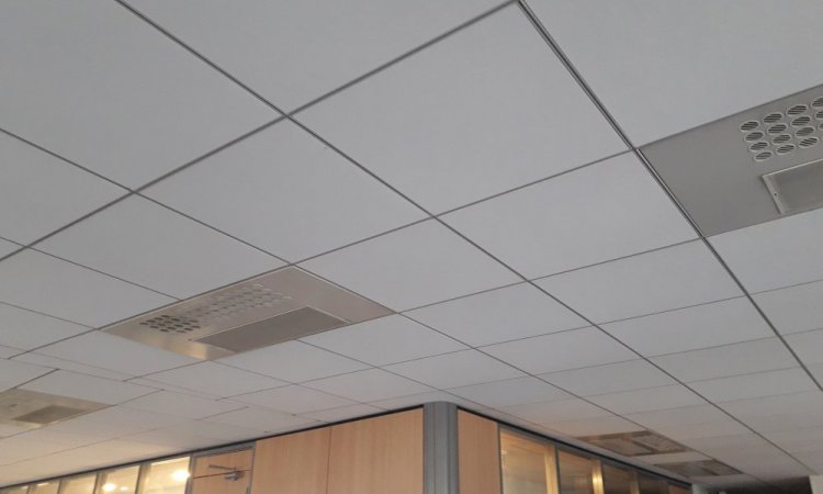 PLAFOND APRES TRAVAUX DANS UNE SALLE SITUEE DANS UNE AGENCE BANCAIRE LYONNAISE